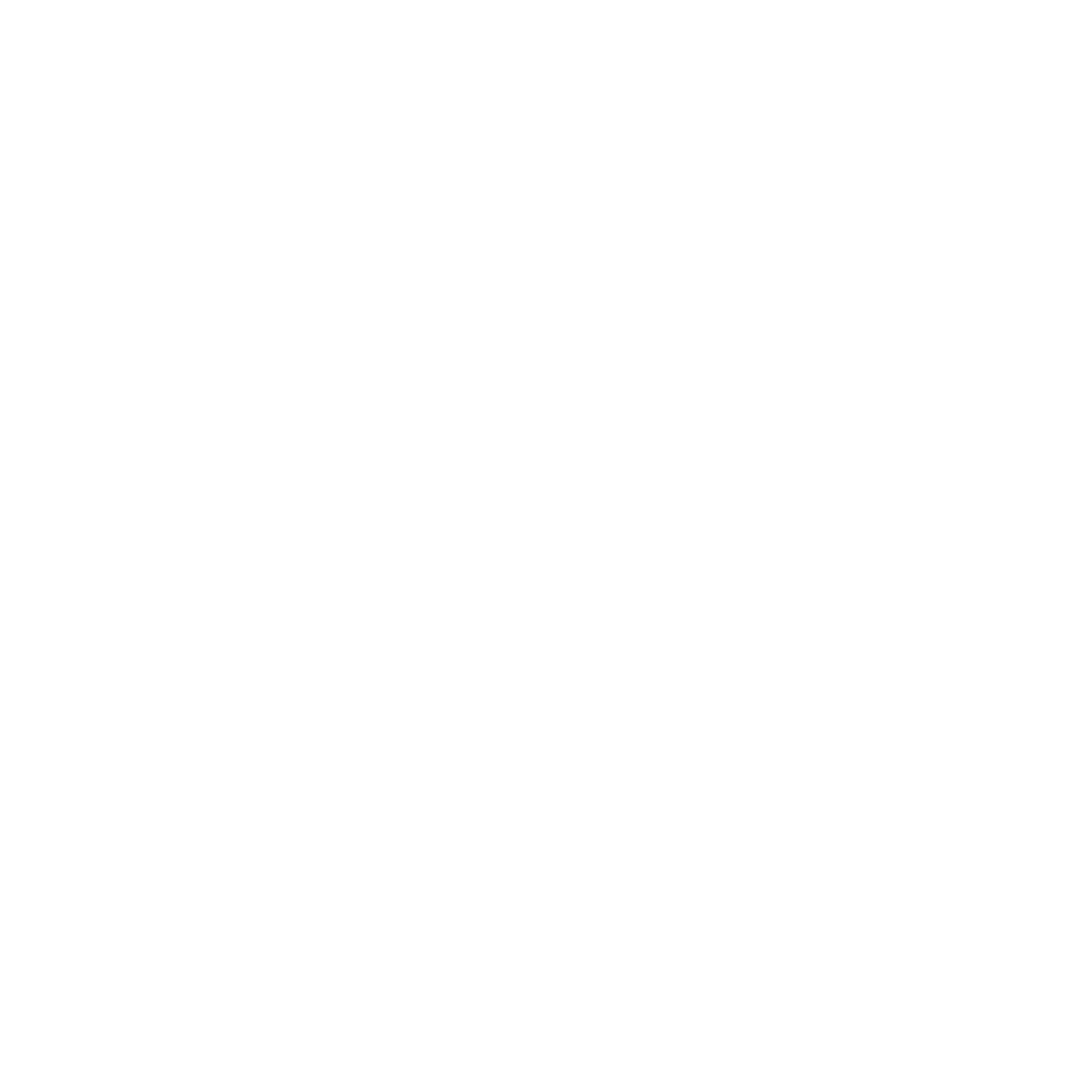 zzone logo white